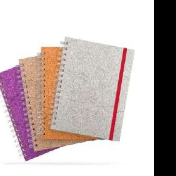 CUADERNO BOOK METALICO PRINTAFORM RAYA ESP.100H PZA